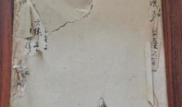 淮安生蚝店爆料视频最新